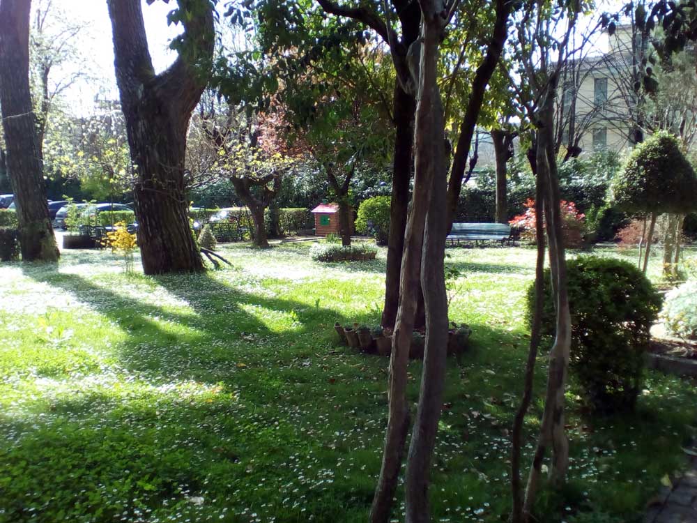 Giardino