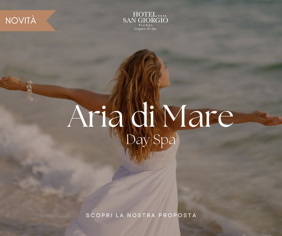 pacchetto-day-spa-aria-di-mare-spa-centro-benessere-a-fiuggi-terme-fiuggi-fonte-fiuggi-fr-fiuggifr-fiuggi(fr)-con-accesso-alla-stanza-del-sale-stanza-con-sale-marino-iodato-relax-e-benessere-di-corpo-e-mente-cura-via-respiratorie-allergie-polmoni-grotta-di-sale-grotta-del-sale-hotel-san-giorgio-heaven-spa-nuovi-pacchetti-nuove-offerte-scopri-le-proposte-vacanza-vacanze