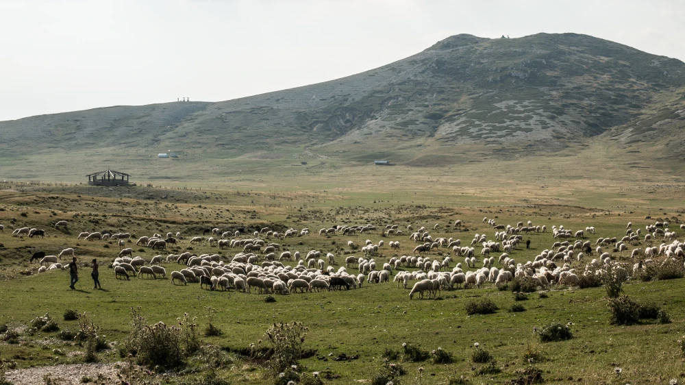 monti-laziali-di-fiuggi-montagne-montagna-monti-trekking-escursioni-escursione